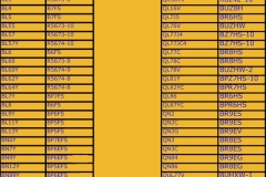 champion_ngk-1
